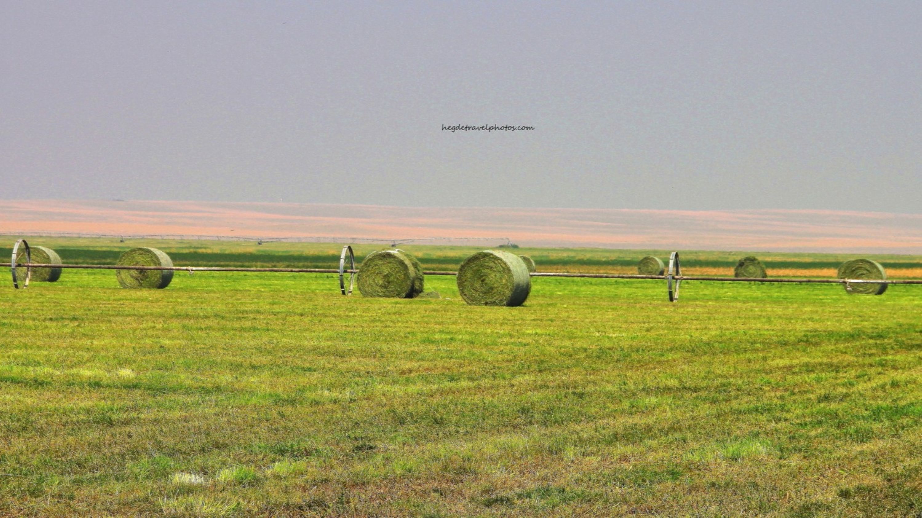 Round Hay Bales