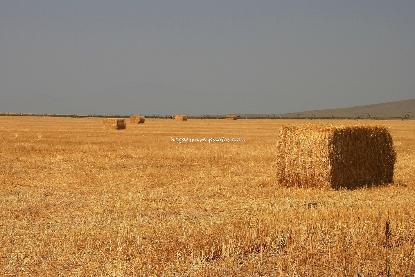 Large Square Hay Bales
