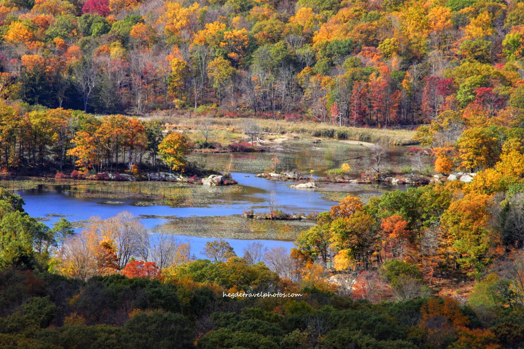 Fall Foliage