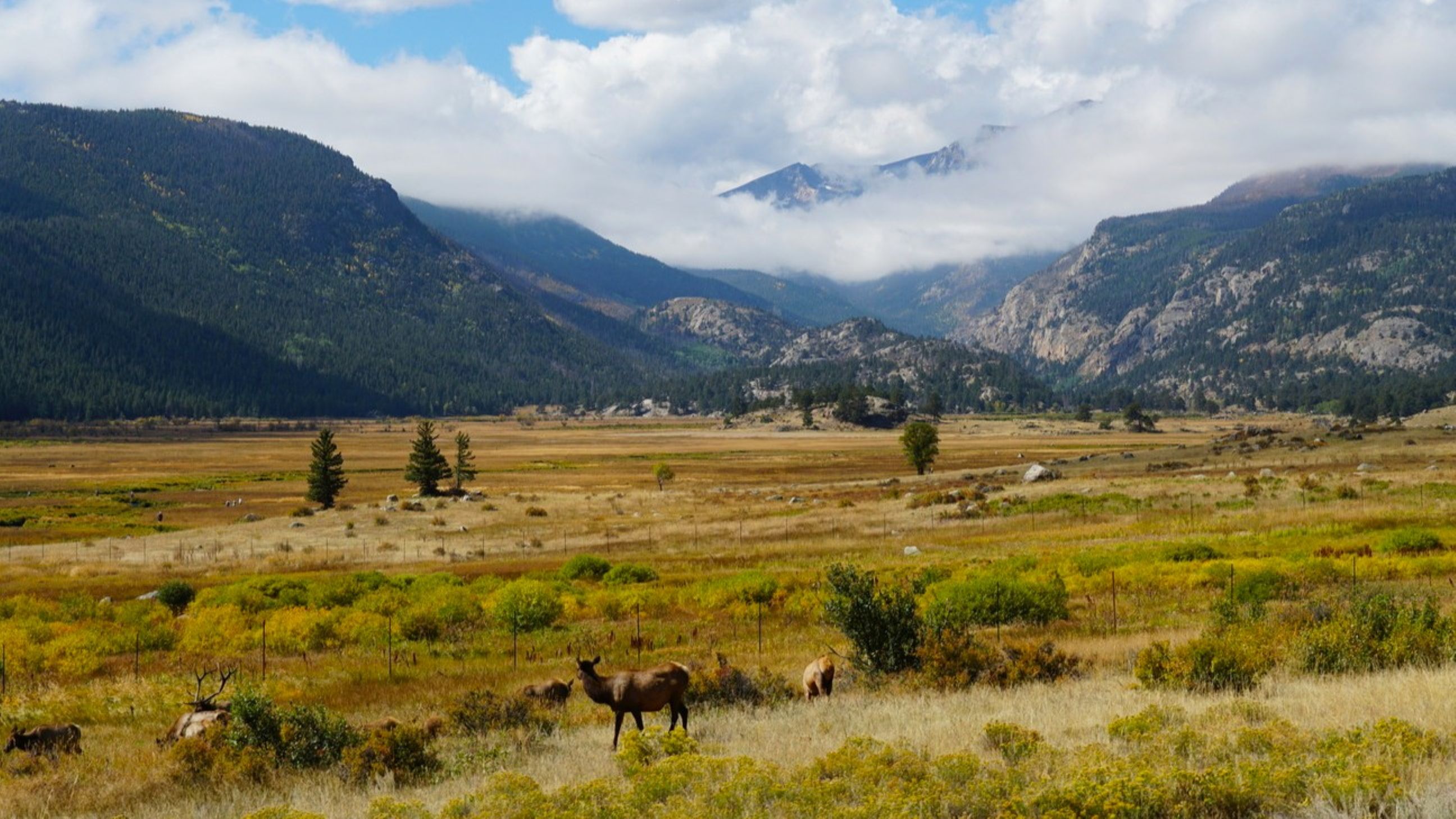 Best Trails in Rocky Mountain National Park, Colorado