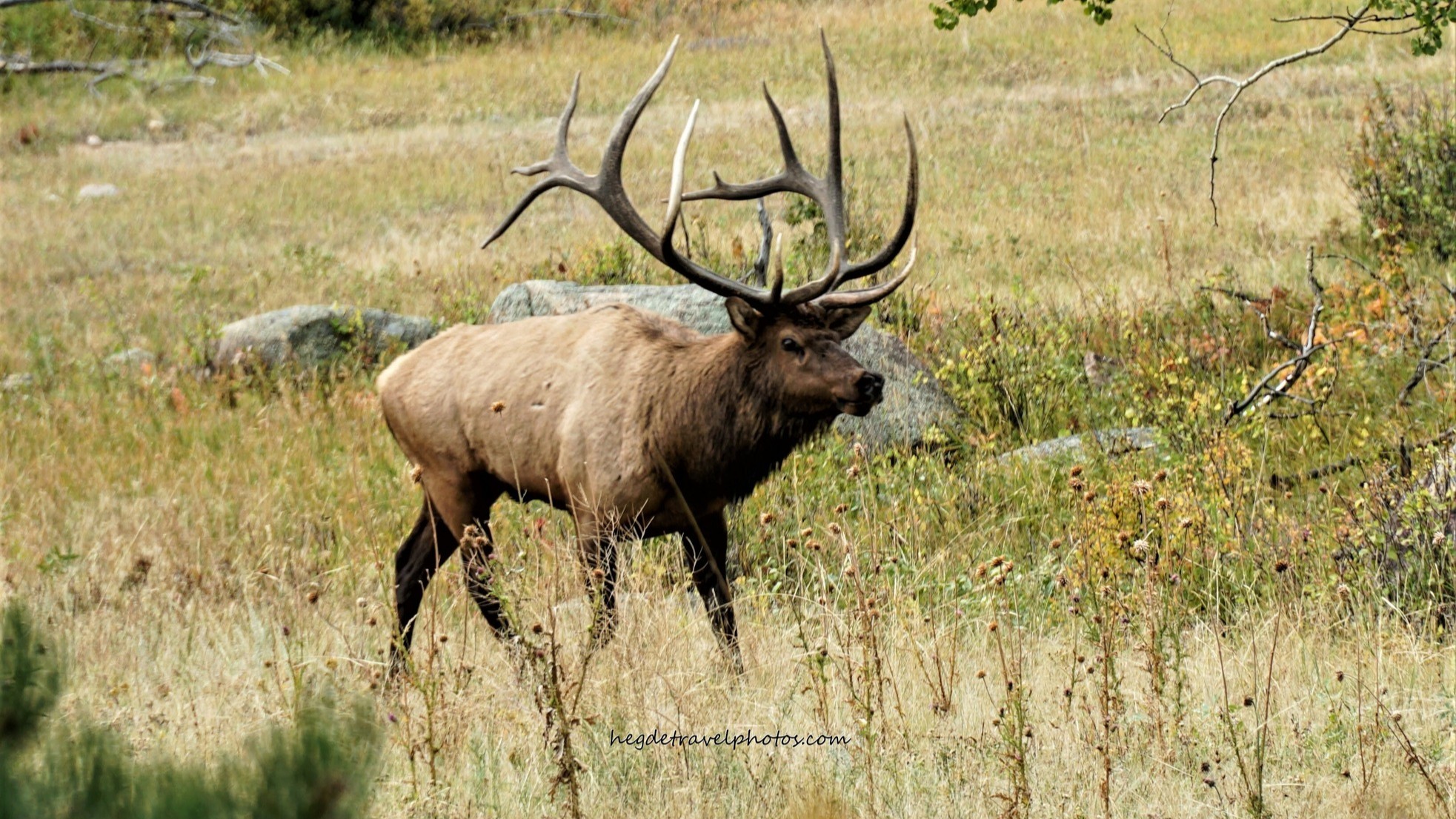 East Side, Rocky Mountain National Park, Colorado