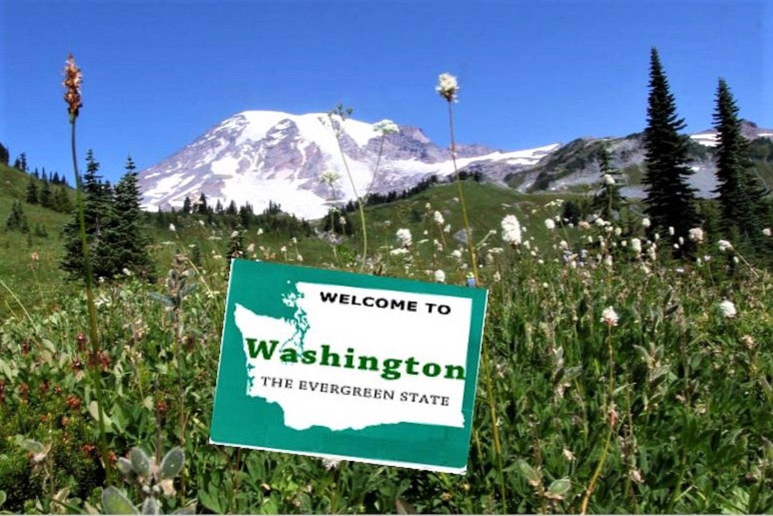 Washington – The Evergreen State