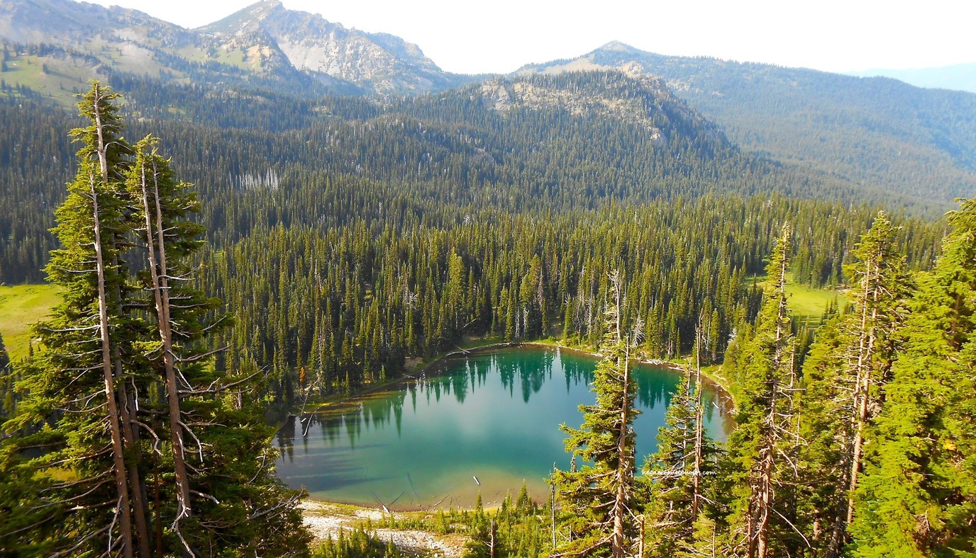 Sunrise Lake: A Hidden Gem in Mount Rainier