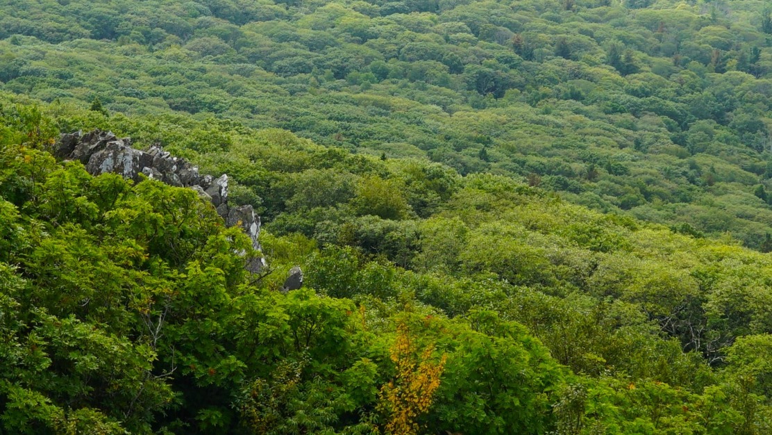 Skyline Drive – Central District
