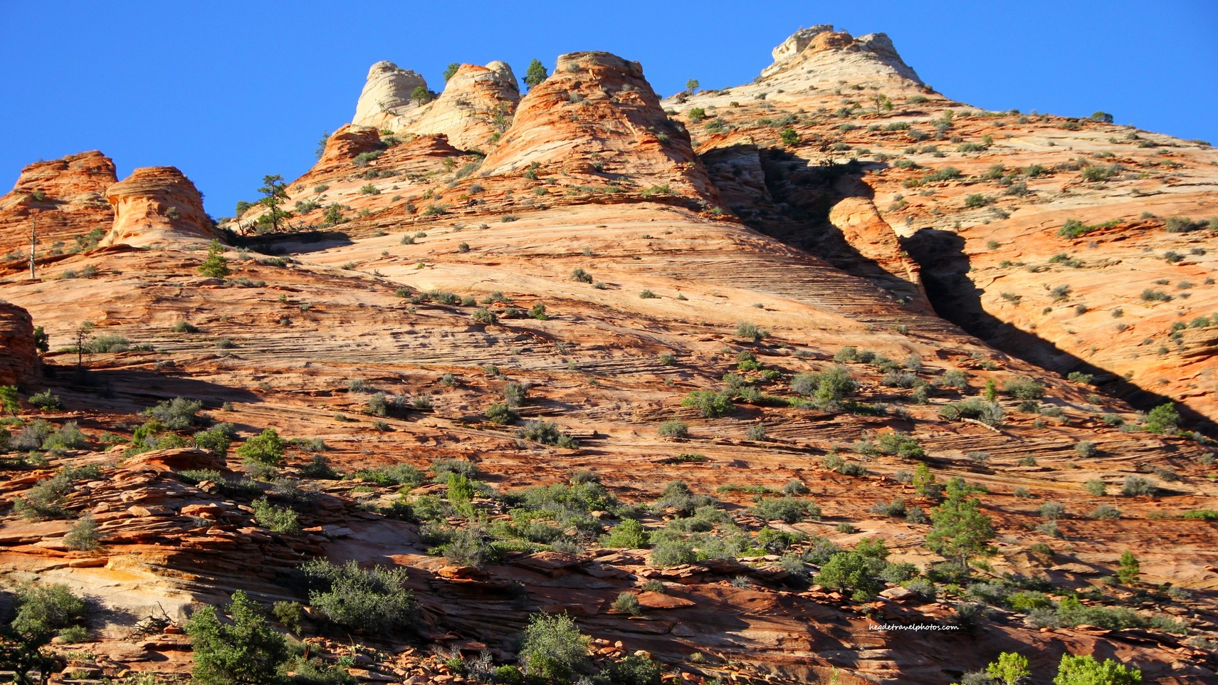 Canyon’s Contrasts – Checkerboard Mesa, Zion