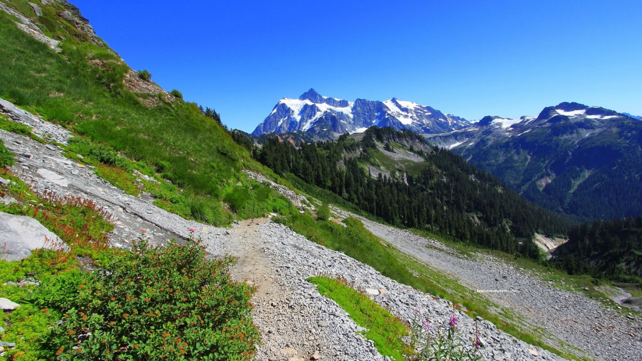 Breathtaking Views from Mount Shuksan at Artist Point