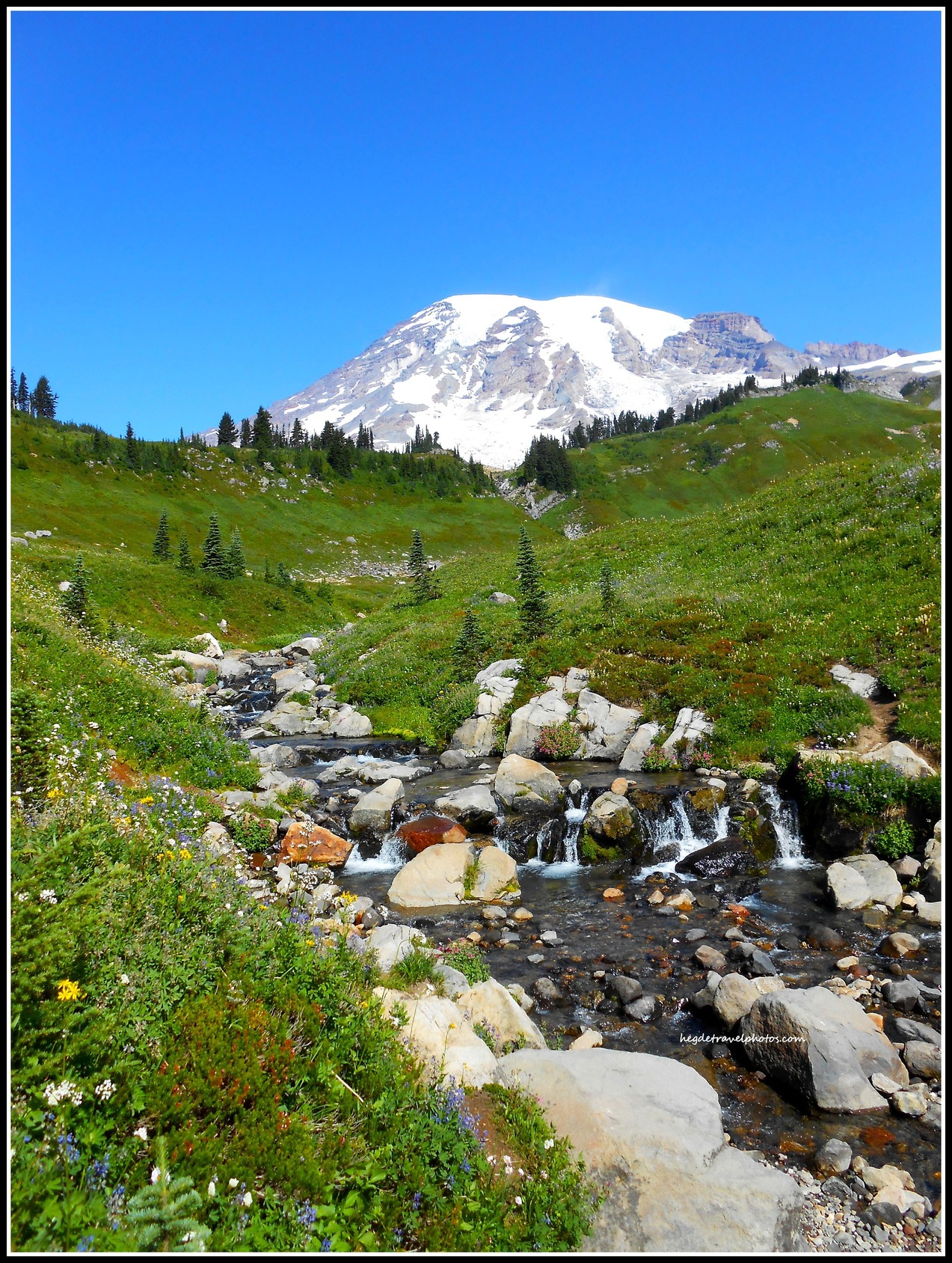 Lush Meadows Unfold on Skyline Trail