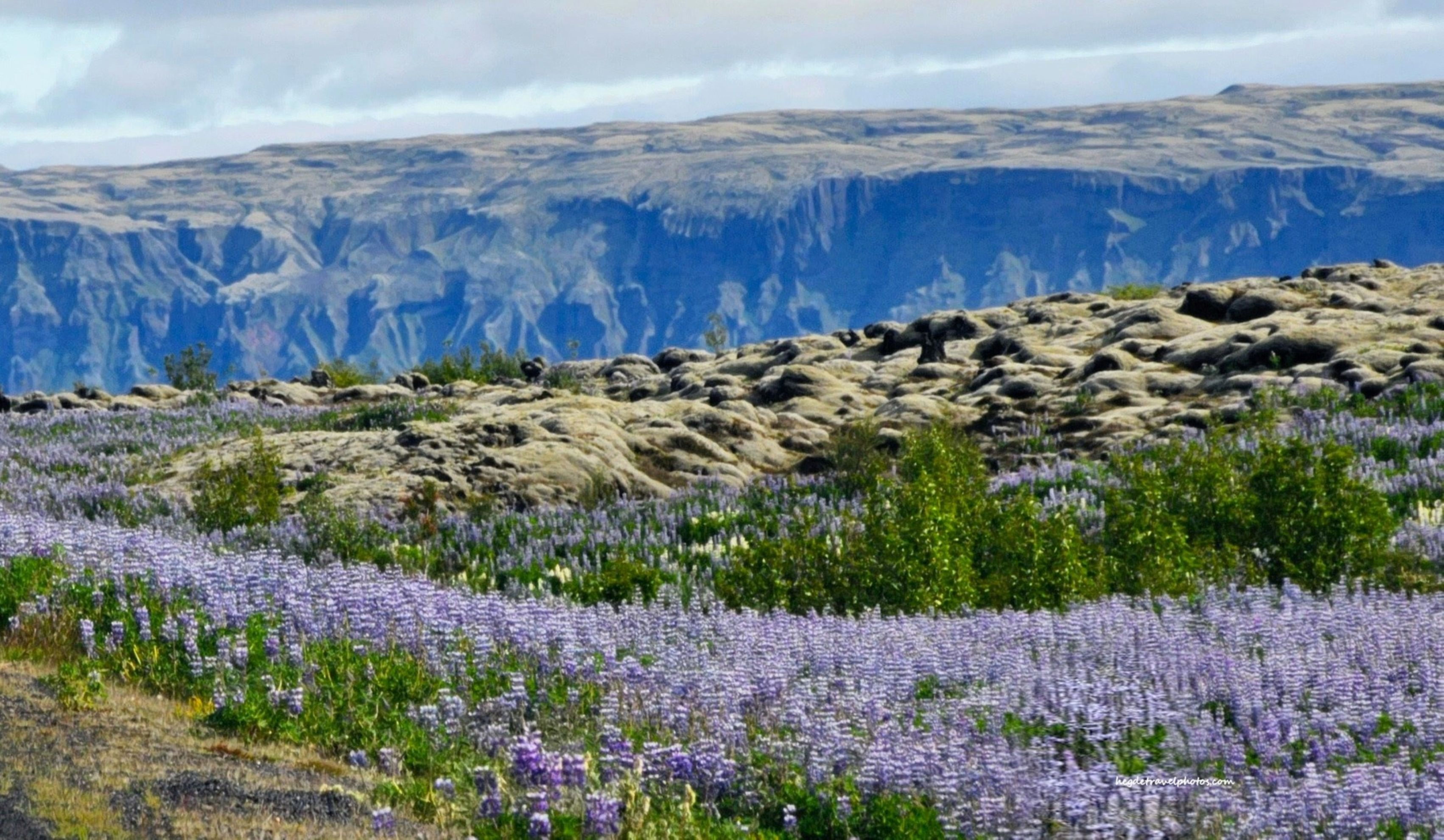 Lavender Hues and Ancient Lava Cliffs