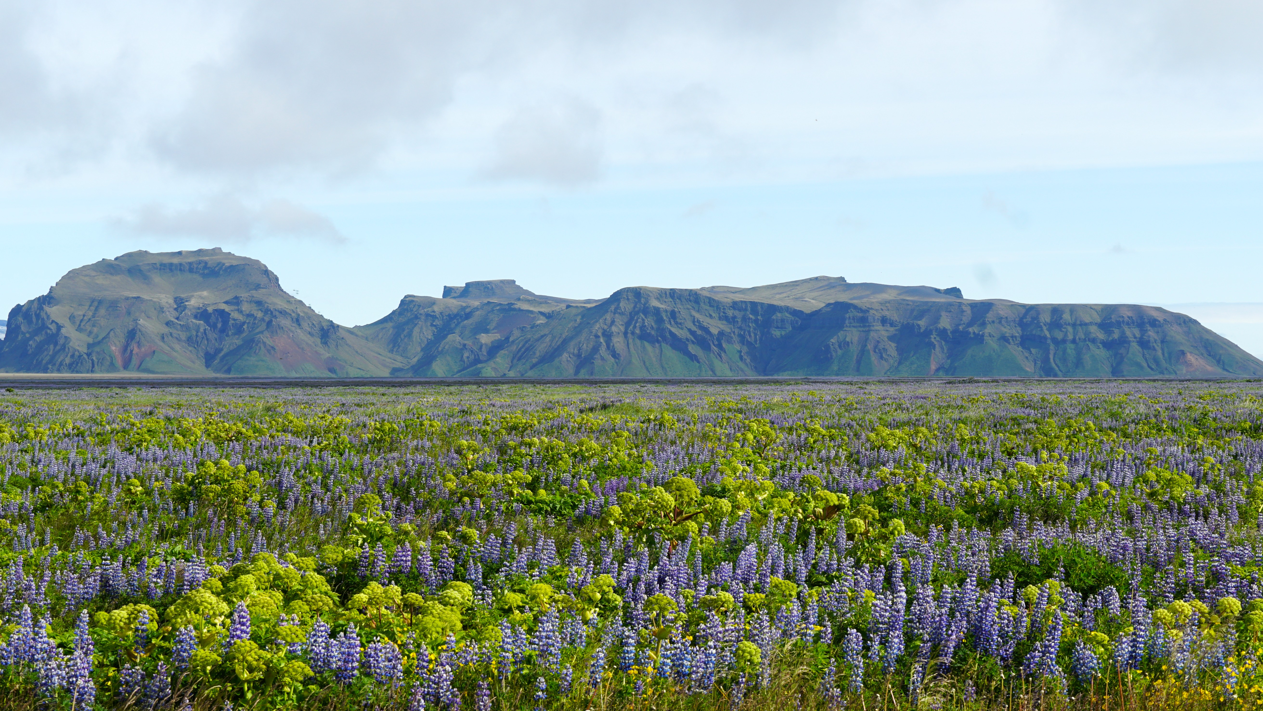 Charming Vik and Iceland’s South Coast Drive Along Route 1