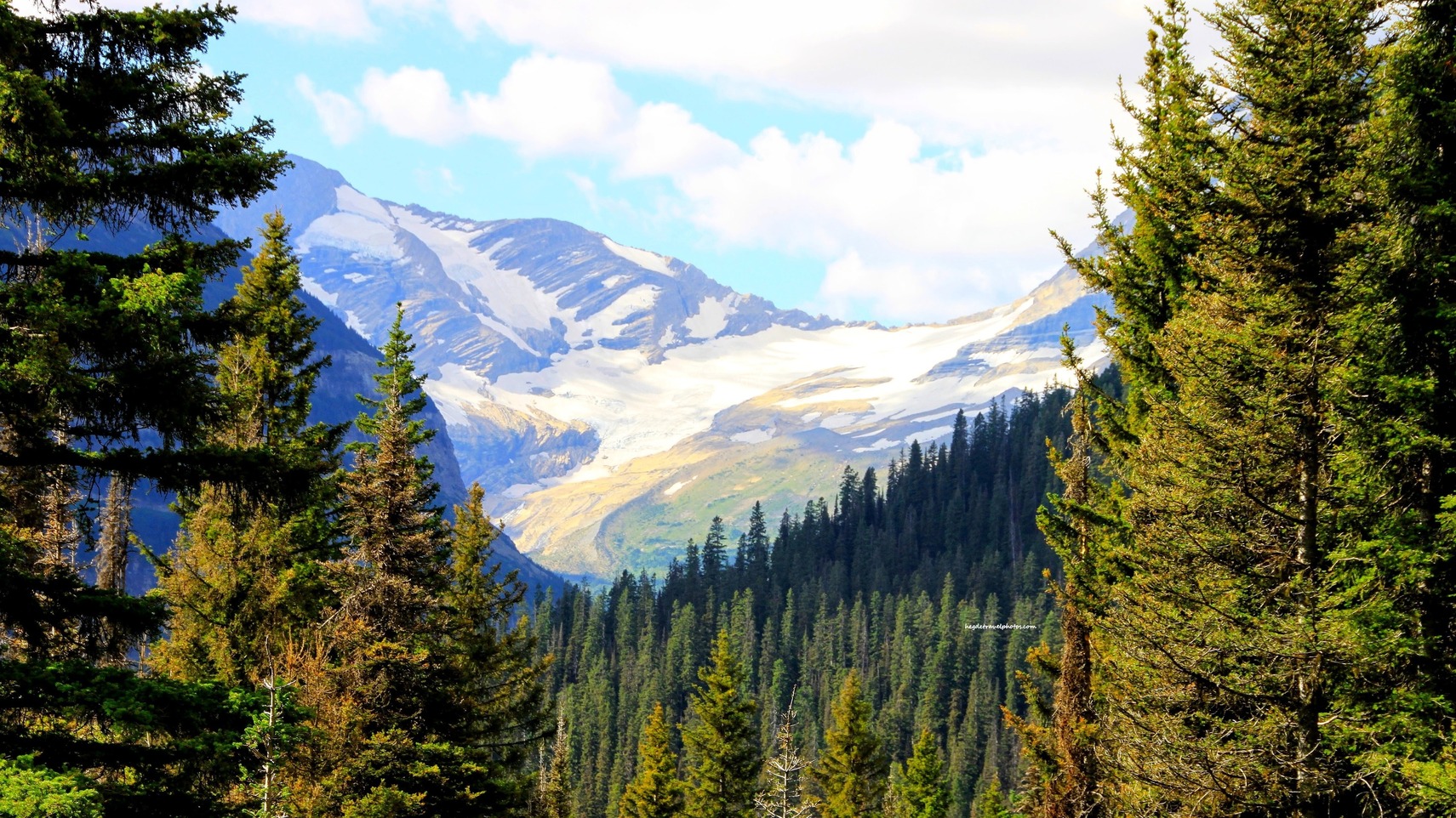 Stunning Views of Jackson Glacier from Going-to-the-Sun Road