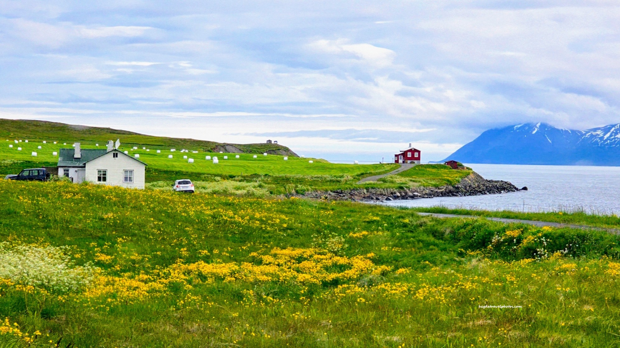 Summer Colors of North Iceland